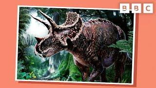 What's a Palaeontologist? | What's in Your Bag? on CBeebies