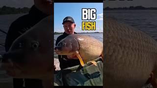 BIG FISH! Победный трофей!  #carpfishing #fishing #рыбалка #feeder #fishingband