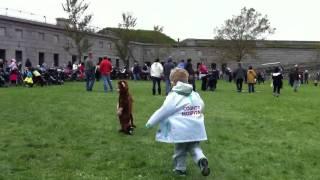 Halloween at Fort Independence, Castle Island, South Boston