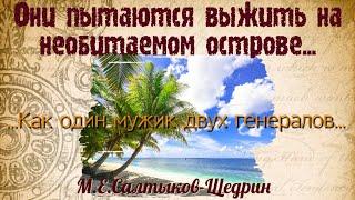 "КАК МУЖИК ДВУХ ГЕНЕРАЛОВ ПРОКОРМИЛ" Краткий пересказ. Герои. Смысл. М.Е. Салтыков-Щедрин.