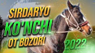 СИРДАРЁ, ГУЛИСТОНДАГИ "КЎНЧИ" ОТ БОЗОРИ ОТЛАР НАРХЛАРИ! | SIRDARYO KO'NCHI OT BOZORI 2022 NARXLAR