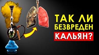 Что Произойдет с Вашим Телом, Если Курить Кальян Каждый День (Шокирует)