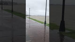 A view of the Mississippi River from New Orleans Louisiana!