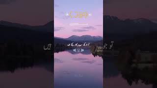 surha qaf #quran #lifewithquran #qurantranslationinurdu #youtubeshorts #tilwatquran #viral