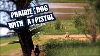 Prairie Dogs with a Pistol