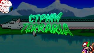 Стрим по Terraria