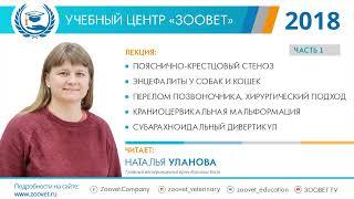 Наталья УЛАНОВА  в УЦ «Зоовет» | ч. 1