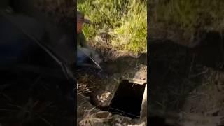 НАШЛИ ЗАБРОШЕННЫЙ КОЛОДЕЦ, А ТАМ... #новости #находки #клад