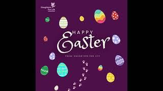 Happy Easter Instagram Post