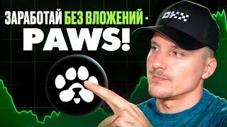 PAWS - Как Заработать Первые Деньги БЕЗ ВЛОЖЕНИЙ? Обзор тапалки PAWS