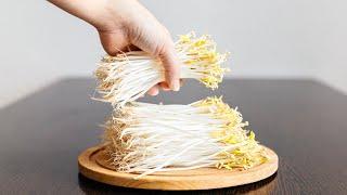 How to grow mung bean sprouts. Mung Bean Sprouts