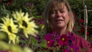 BBC Two: Bees Butterflies and Blooms. Part One of Three