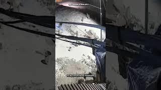 3 KANGAL VS 5 WOLF