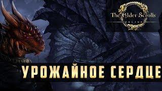 Прохождение The Elder Scrolls Online (TES Online) - Урожайное Сердце & Освобождение Вампиров #43