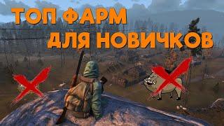 Stalker Online/Stay Out/Сталкер Онлайн: ТОП ФАРМ ДЛЯ НОВИЧКОВ