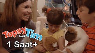 Topsy ve Tim ile 1 Saatlik Eğlence! | Topsy ve Tim | Türk Çocuk Çizgi Filmleri | WildBrain Türkçe