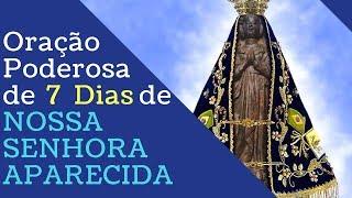 Oração Poderosa de 7 dias de Nossa Senhora Aparecida