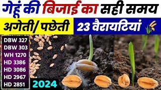 गेहूं की बिजाई का सही समय | अगेती, पछेती 23 वैरायटियां | Gehu Ki Kheti | Gehu Ki Top Variety 2024