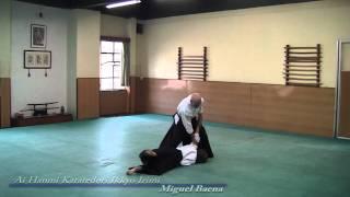 Aikido, Ai Hanmi Katatedori Ikkyo Irimi, Miguel Baena