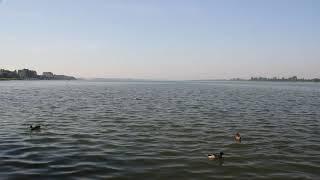 Morgenidylle am Unteruckersee - Nordufer Prenzlau