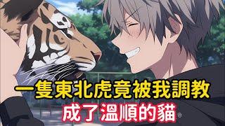 《一隻東北虎竟被我調教，成了溫順的貓》我明明擁有聽懂動物心聲的能力卻繼承一家快要倒閉的動物園，為了將動物園發揚光大，我只好低價購買別人不要的東北虎……#漫画解说