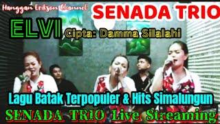 SENADA TRIO - Cover Lagu Batak Simalungun "ELVI" Cipta: Damma Silalahi @hangganeriksonchannel8093