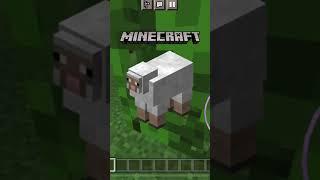 ГОЛАЯ ОВЦА ИЗ МАЙНКРАФТ СУЩЕСТВУЕТ В РЕАЛЬНОЙ ЖИЗНИ #minecraft #shorts