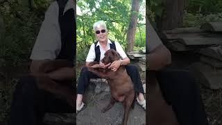 "Собаке Качалова" (Дай, Джим, на счастье лапу мне...) Сергей Есенин.Читает седой учитель литературы
