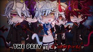 "The Prey Of 4 Vampires" ||• BL GCMM •||