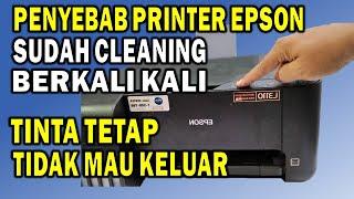 HOW TO FIX EPSON PRINTER INK PROBLEMS AFTER HEAD CLEANING