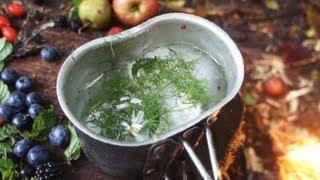 Wild Teas for Survival - Medicinal & Nutritional