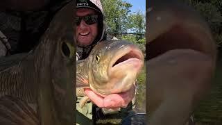 MYSTERY GIANT FISH.. What is it? #fishing #outdoors #flyfishing #bigfish