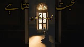 میرے نبی نے کہا حدیث خوبصورت اسلامی ویڈیو Whatsapp status video short TikTokvideoIslamic video #2023