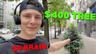 Life of A New York City Gardener