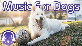 How to Relax Your Dog - 15 Hours of Deep Relaxation Music for Dogs! (2019!)