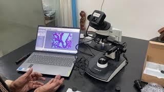 How to use digital camera with vision 2000 Binocular microscope installing software demo by Abron E