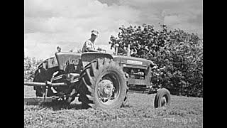 1963 - Daily Life on the Family Dairy Farm