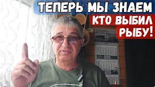 Теперь мы знаем кто выбил рыбу !