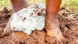 Girl Trampling Rabbits Barefoot