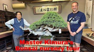 Bonsai Master Kimura's Bonsai Garden tour of his incredible bonsai