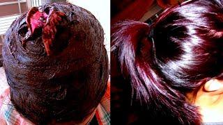 Nisha Mehndi बालों में लगाने का सही तरीका Burgundy hair colour at home | Nisha mehndi #mehndi