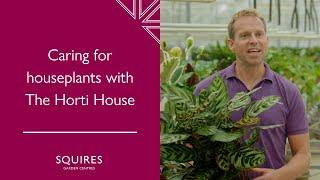 Caring for houseplants with The Horti House