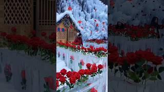 ️Most beautiful places on Earth