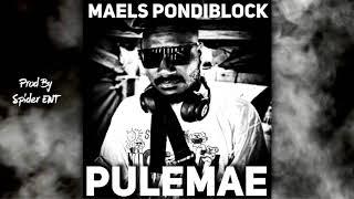 Pule Mae (maels pondiblock) prod by spider ent 