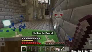 FIGHT AGAINST THE ANGRY WOLVES (Minecraft)