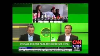 Carmenere al mundo - CNN Chile