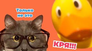 ЕСЛИ БЫ КОТИКИ ХОДИЛИ В ШКОЛУ - НОВОГОДНИЕ КАНИКУЛЫ