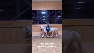 It's nearly September ️️ #horse #harlow #equestrian #harlowandfamily #blowup