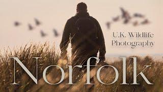 UK Wildlife Photography | You have to visit this place | Norfolk Wildlife