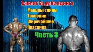 Как накачать мышцы спины. Лучшие упражнения. Техника. Часть 3. Хакинг Бодибилдинга